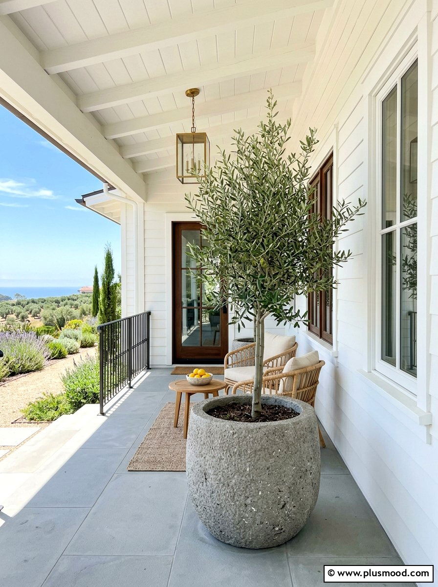 Olive Tree Planter - 25 summer front porch decor ideas for white house