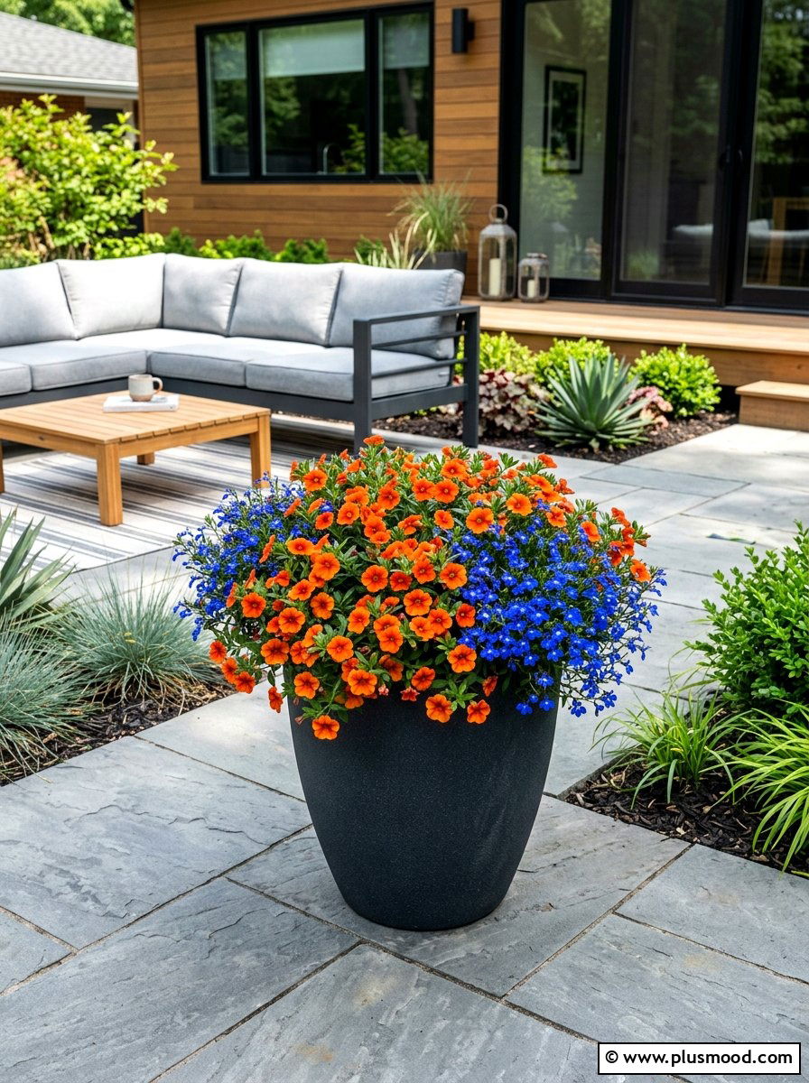 Orange Calibrachoa And Blue Lobelia - 25 summer planters with calibrachoa ideas