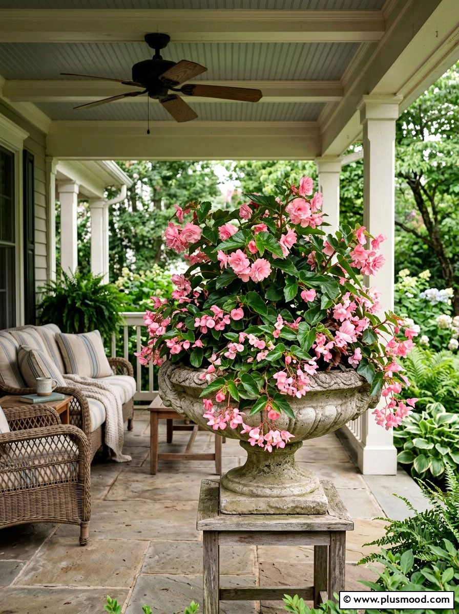 Pink begonia shaded container - 25 summer monochrome planter ideas