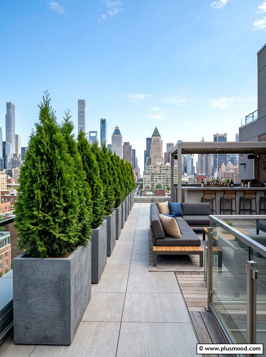 Potted Arborvitae Tree - 25 summer backyard privacy ideas