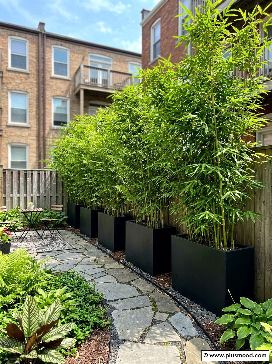 Potted Bamboo Privacy - 25 small backyard ideas for apartments
