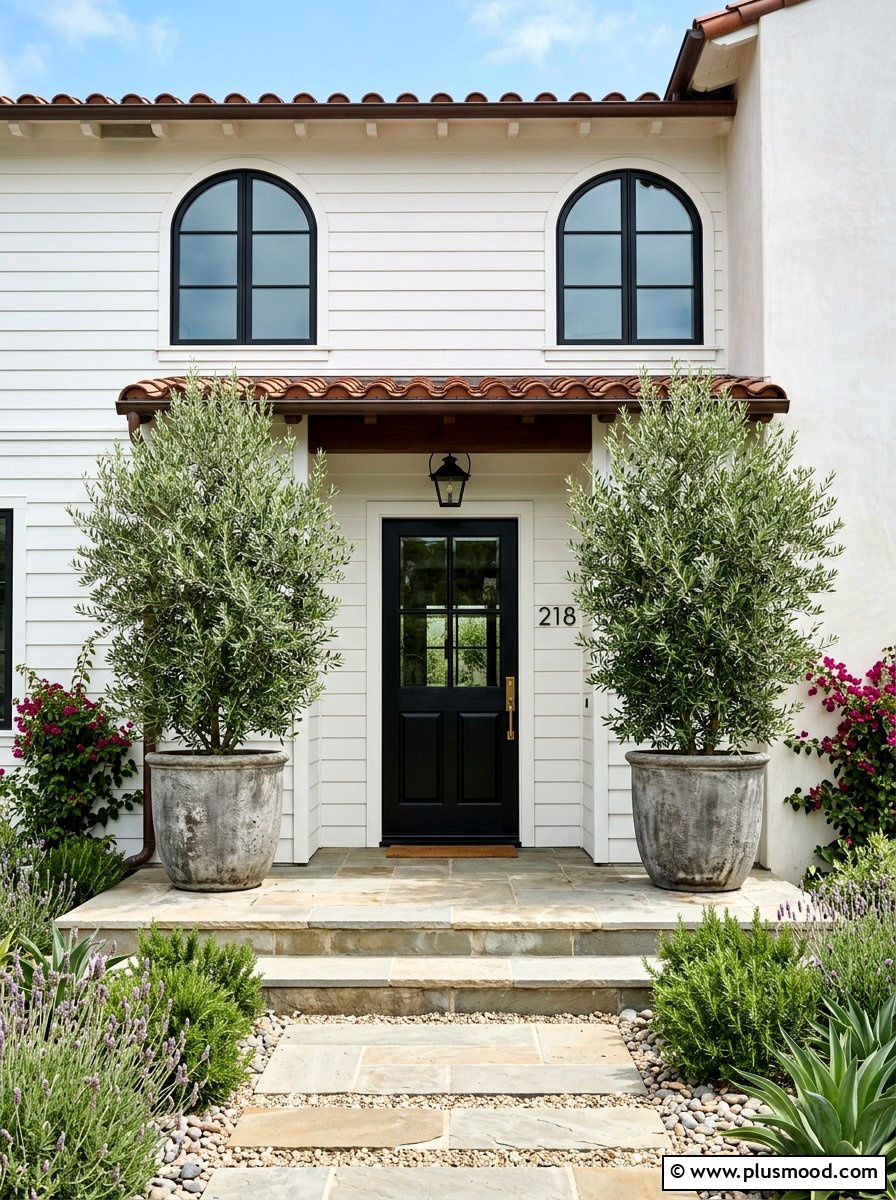 Potted Olive Trees - 25 late summer front porch ideas