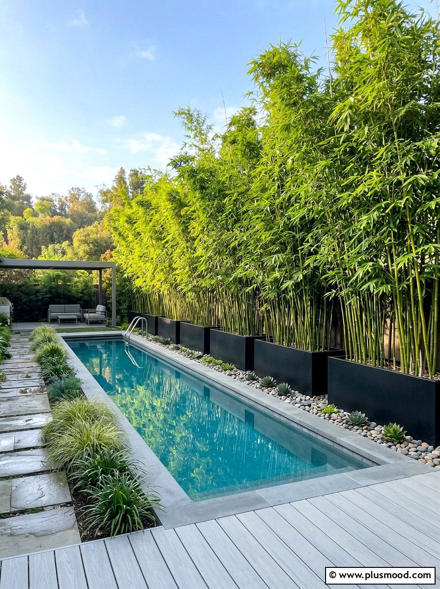 Privacy Screen With Bamboo - 25 pool landscaping ideas with plants