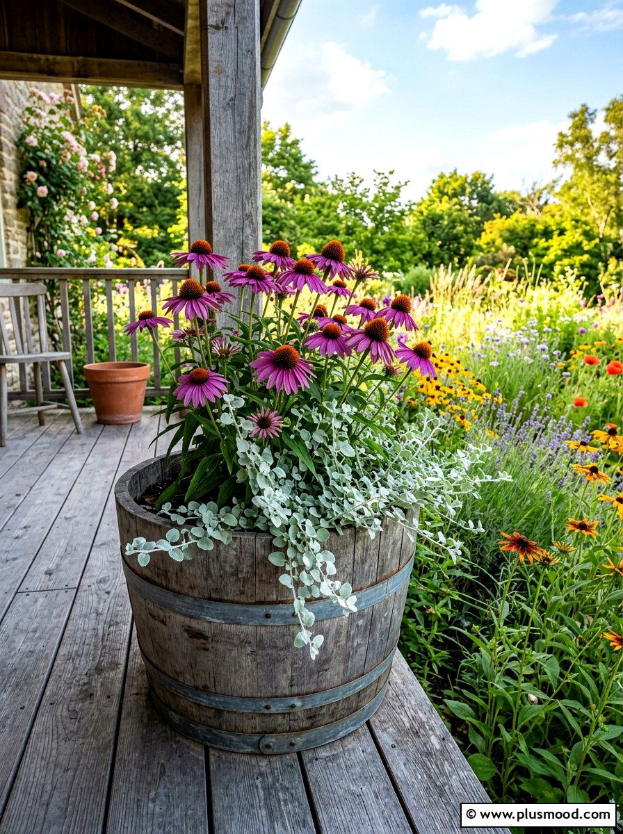 Purple Echinacea Planter - 25 late summer porch planter ideas