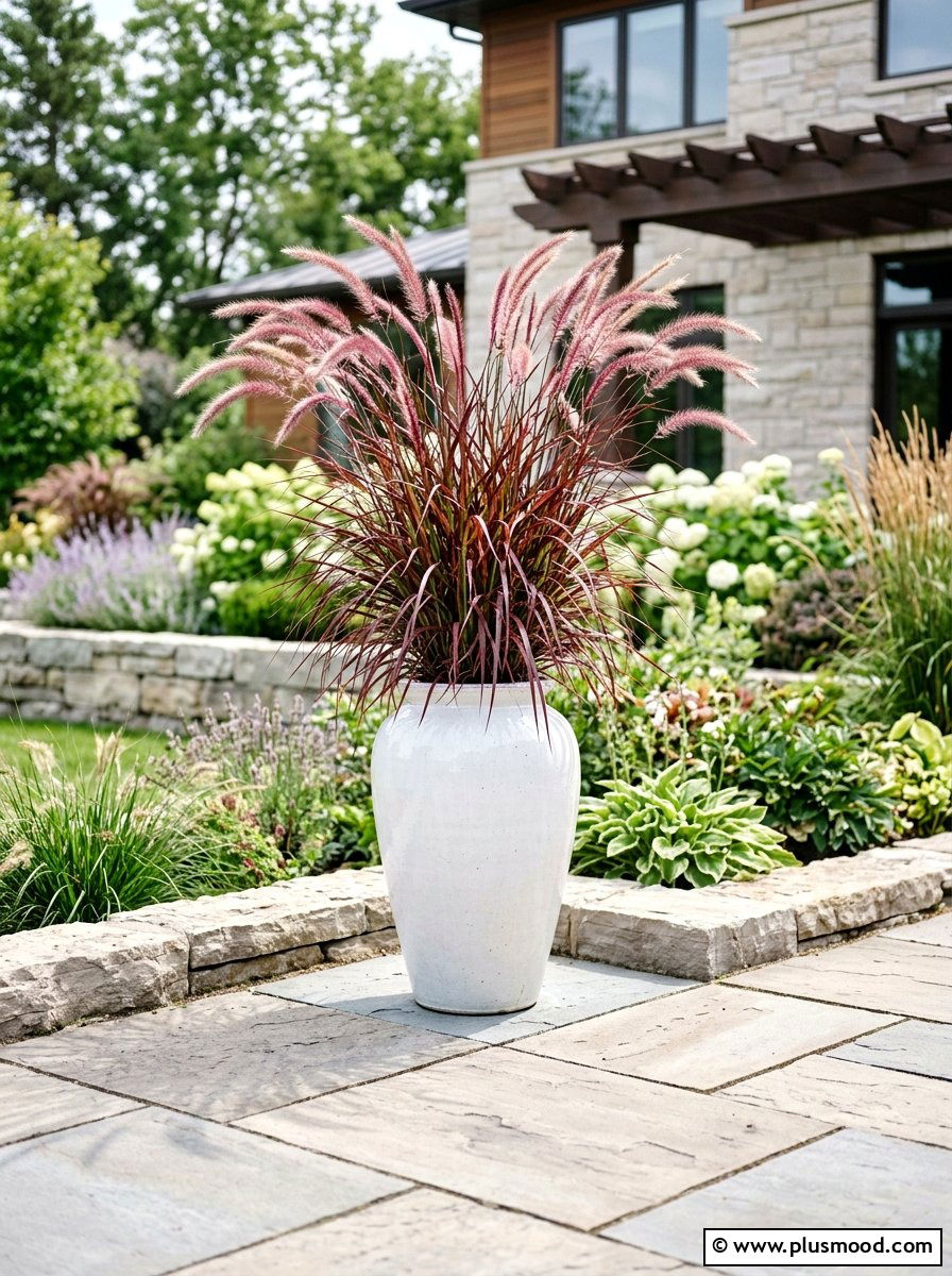 25 Summer Low Maintenance Planter Ideas to Try