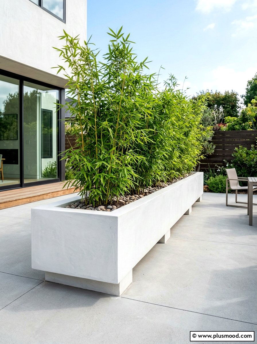 Raised white concrete planter - 25 small backyard ideas for minimalist style