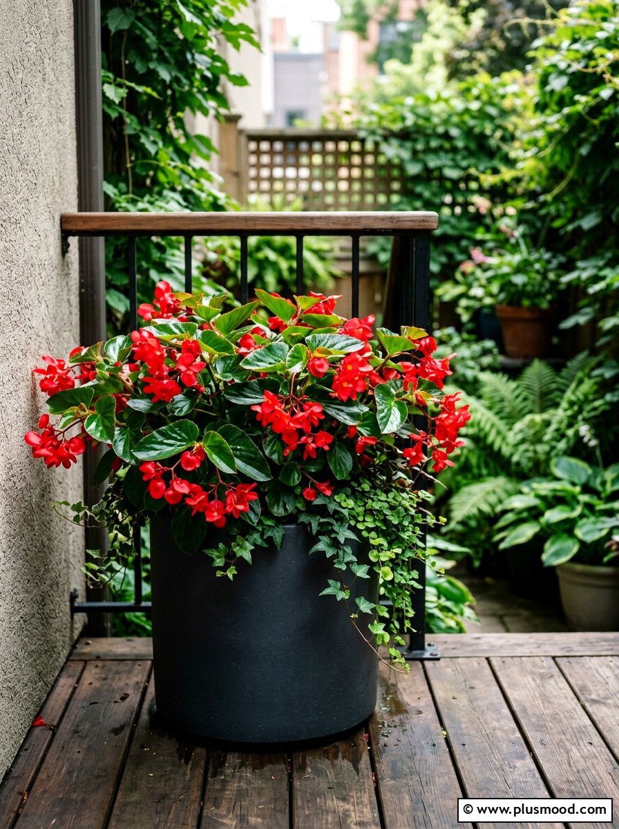 Red begonia shade arrangement - 25 summer balcony flower ideas