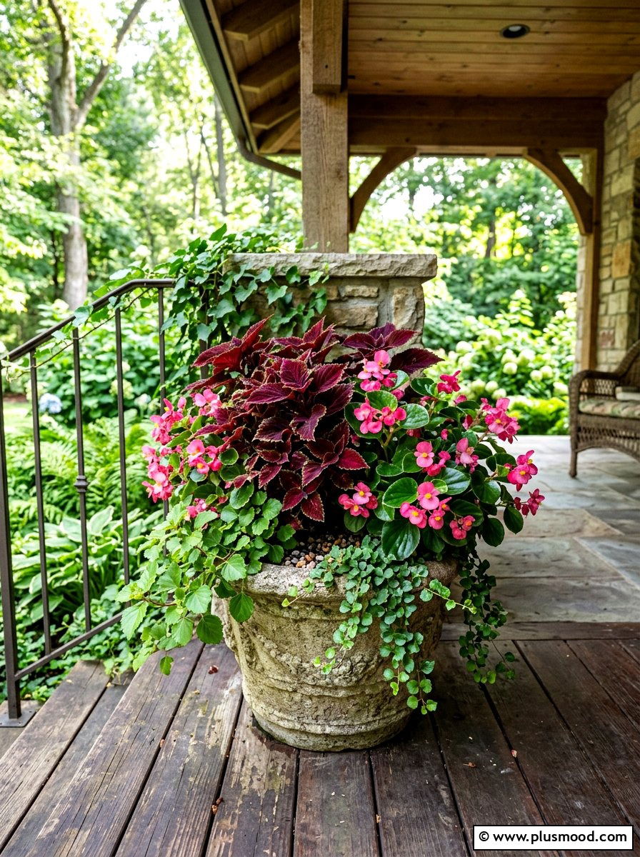 Shade Coleus Planter With Begonias - 25 summer planters with coleus ideas