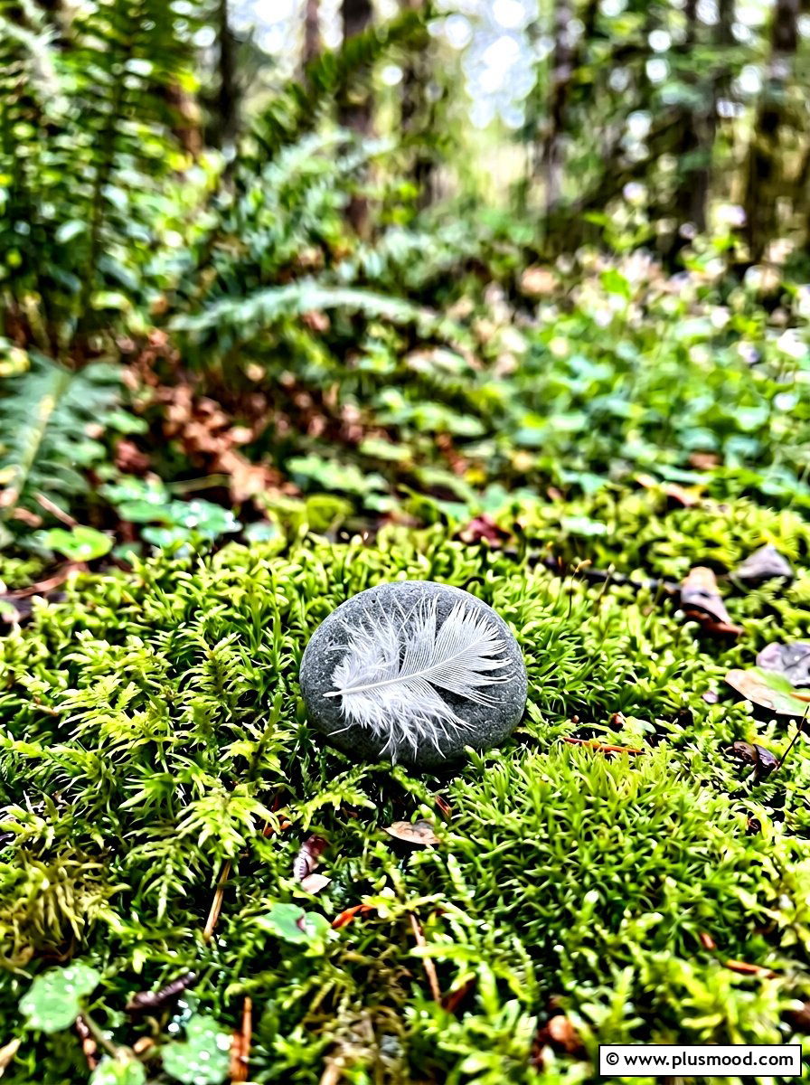 Small Downy Feather - 25 painted rock ideas with feather design