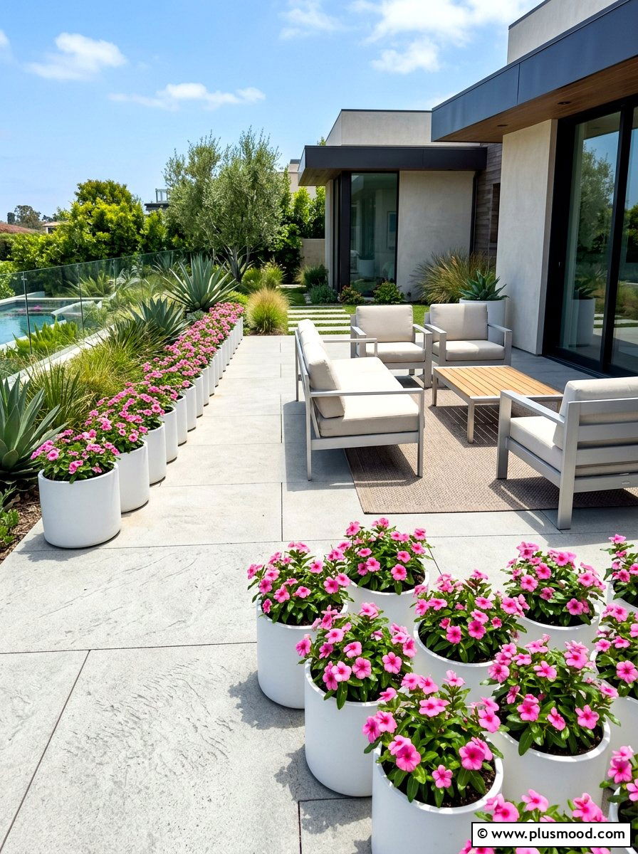 Vinca For Heat Resistance - 25 summer patio flower ideas