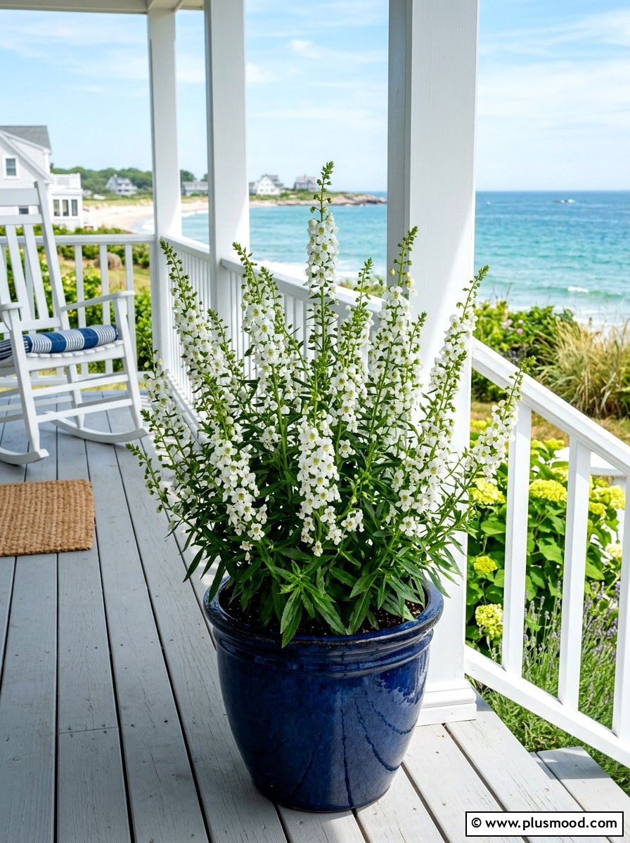 White Angelonia Planter - 25 late summer porch planter ideas