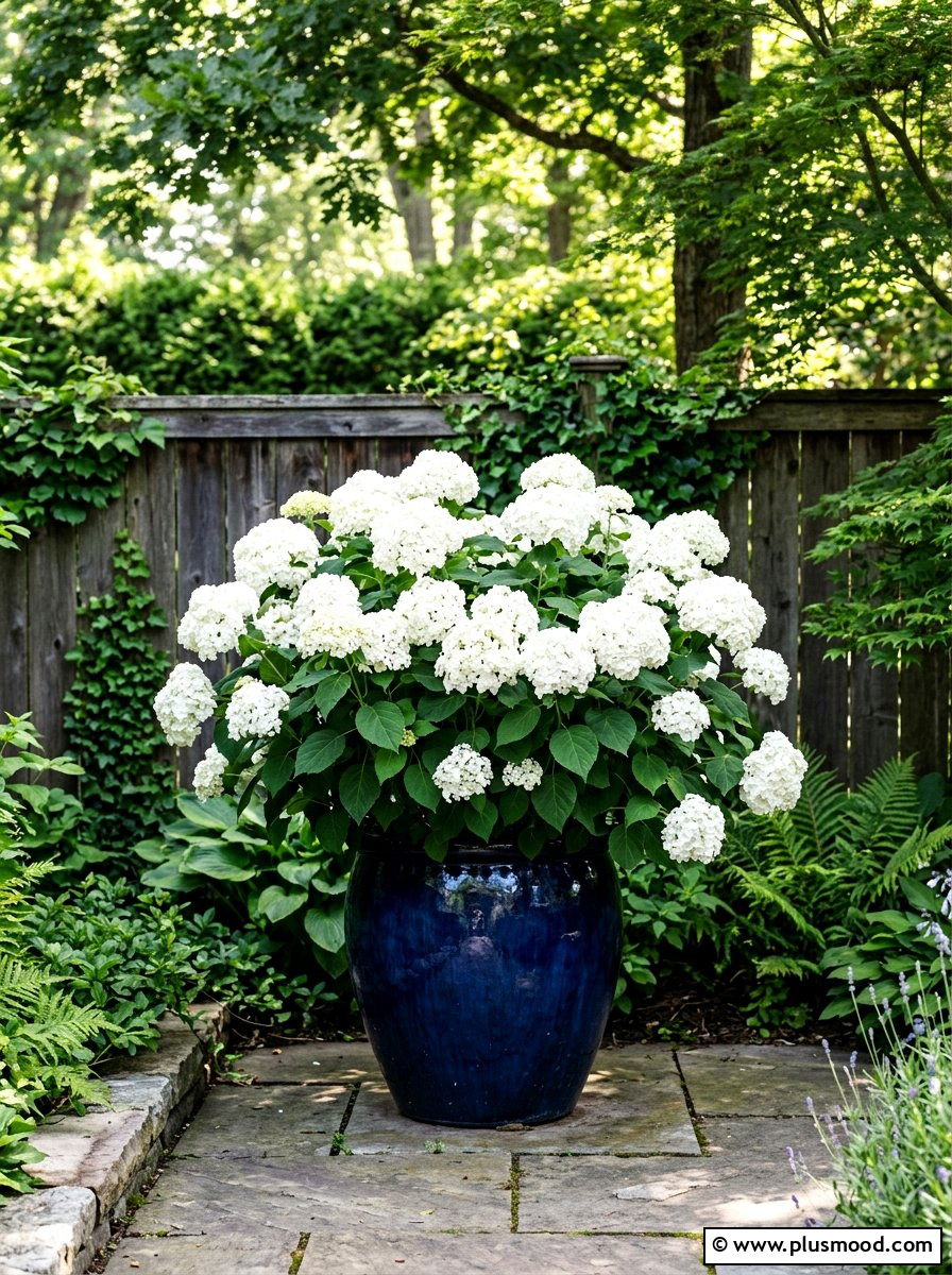 White Hydrangea Planter - 25 summer large planter ideas