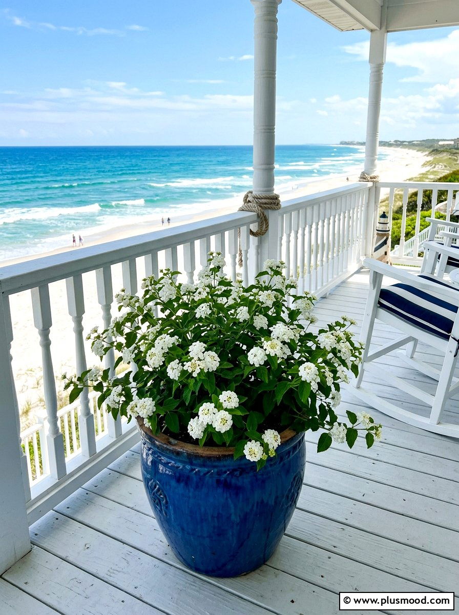 White Lantana In Blue Ceramic Pot - 25 summer planters with lantana ideas