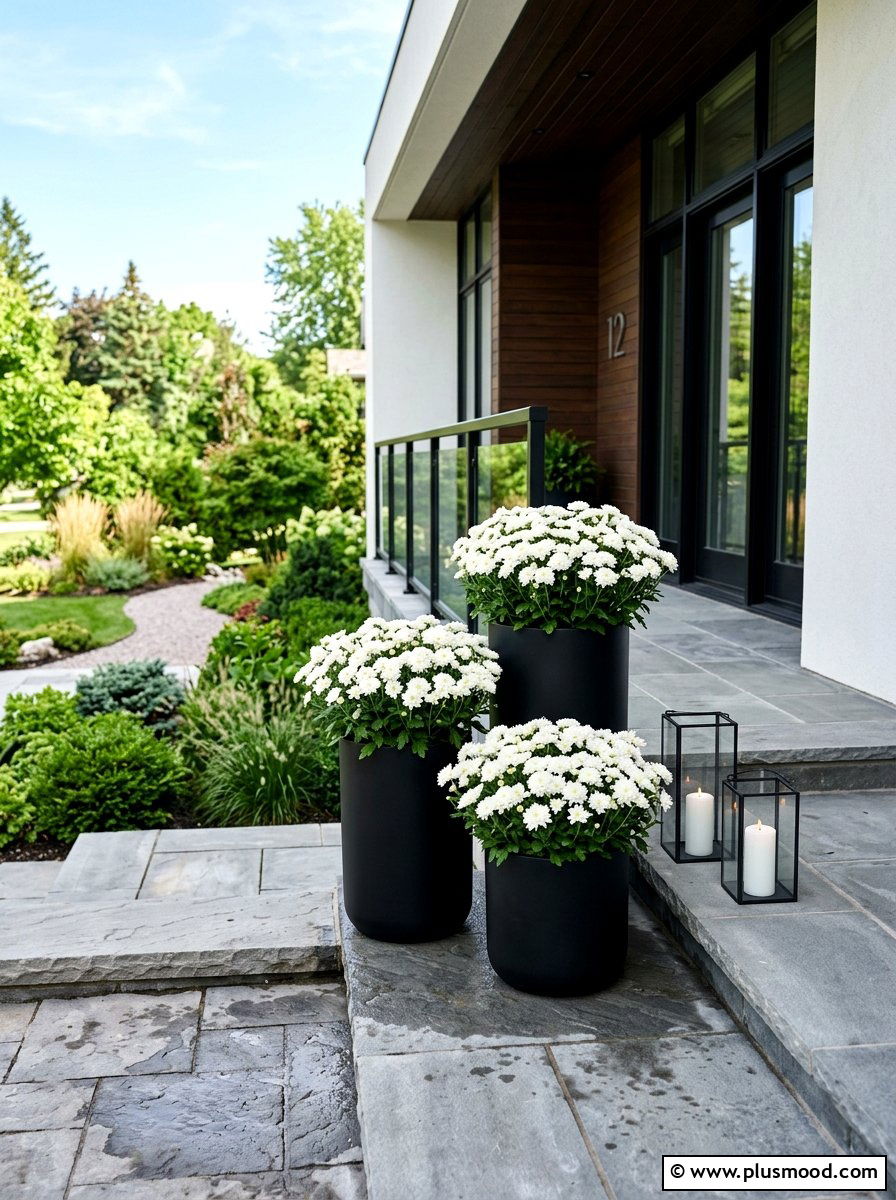 White chrysanthemum planter - 25 summer to fall front porch planter ideas