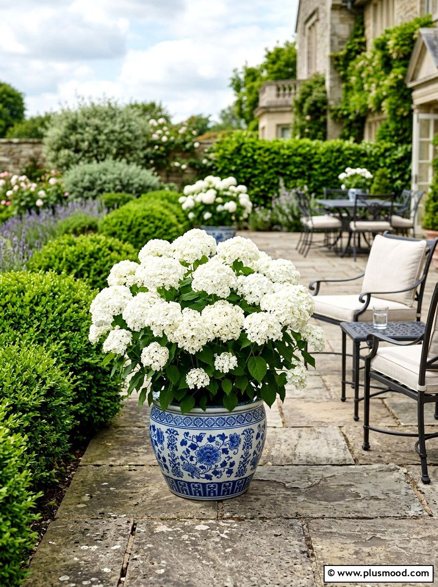 White hydrangea terrace pot - 25 summer monochrome planter ideas
